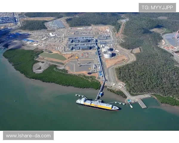 LNG在世界冠军杯中的技术表现分析与点评探讨 LNG在世界冠军杯中的技术表现分析与点评探讨