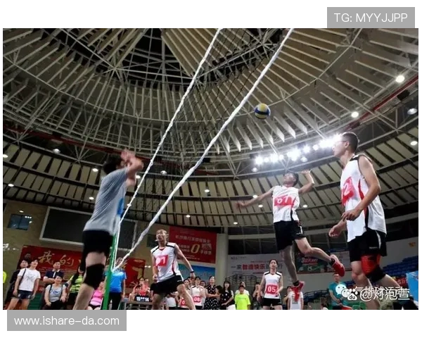 南京排球队引领最新排球战术十强榜单解析与展望