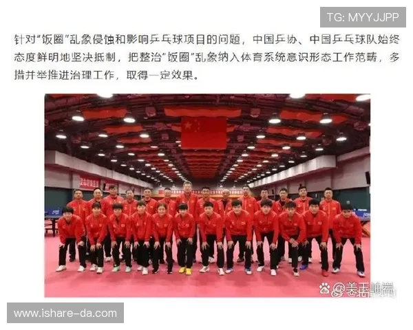 重庆排球队状态分析：聚焦球队表现与未来发展方向