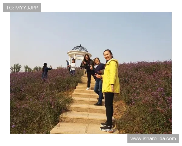 深圳篮球队的拼搏之路:从默默无闻到荣耀巅峰的奋斗纪实